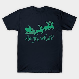 sleigh, what? T-Shirt